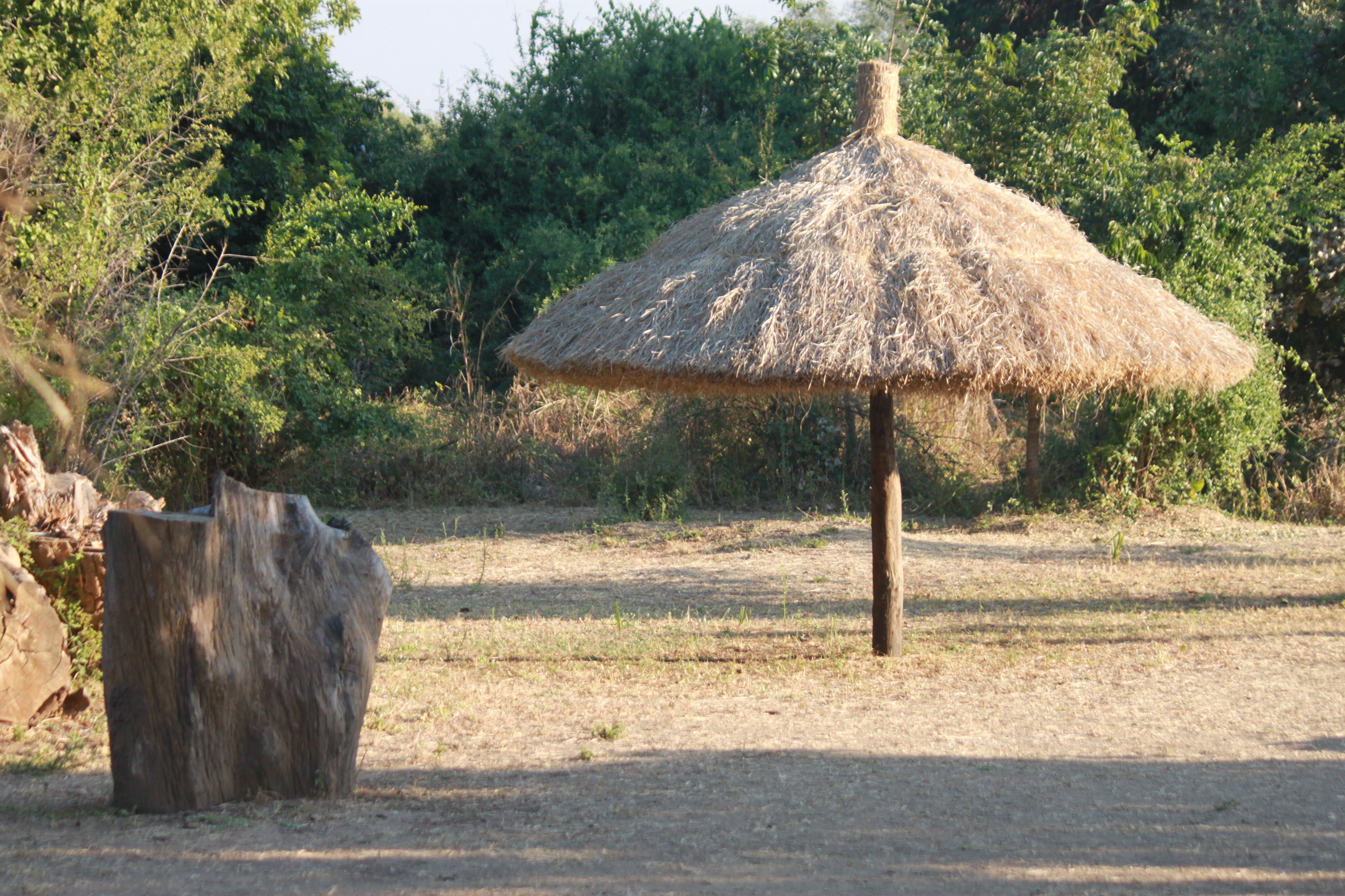 Zikomo Safari Campsite - Image 1