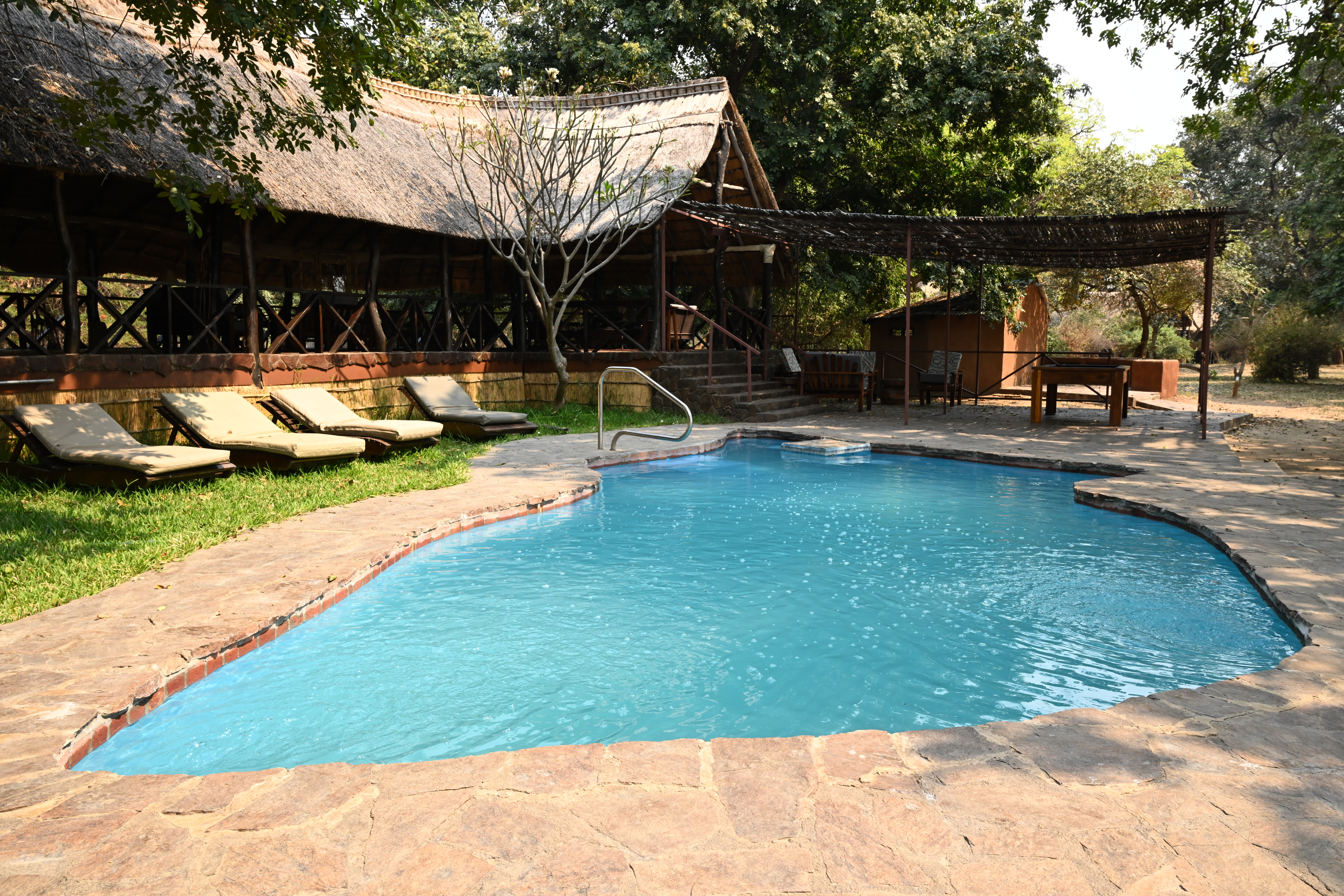 Zikomo Main Lodge Safari Chalet - Image 1