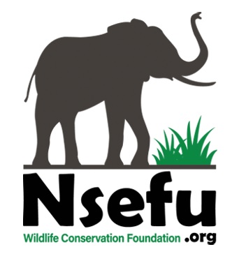 Nsefu