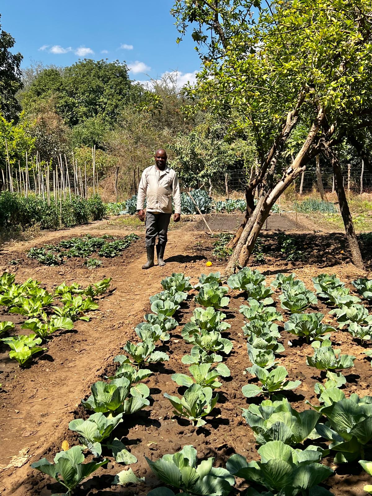 Garden to table