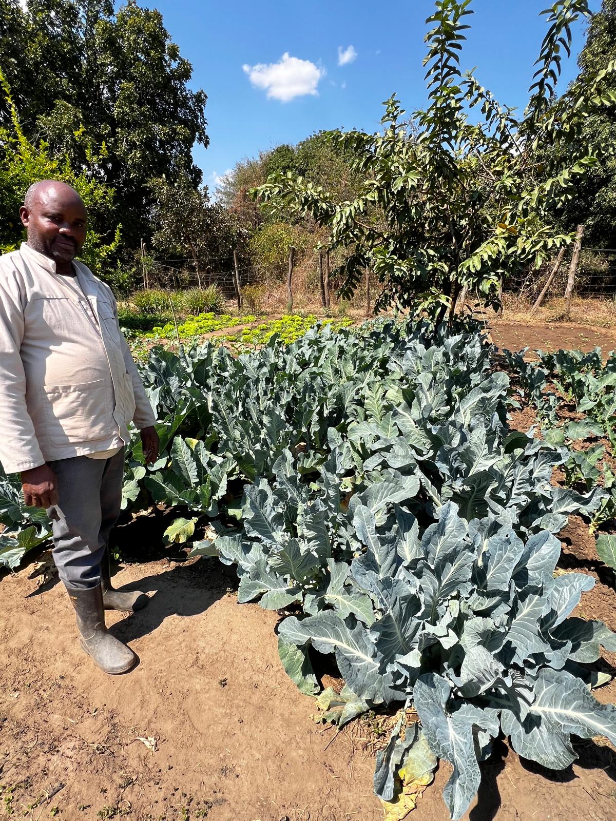 Garden to table